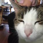 View Gallery Image #7