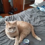 View Gallery Image #8