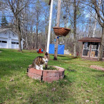 View Gallery Image #11