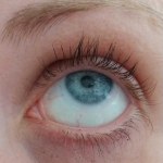 View Gallery Image #7