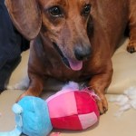 View Gallery Image #12