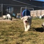 View Gallery Image #1