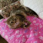 View Gallery Image #5