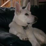 View Gallery Image #3