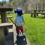 View Gallery Image #12