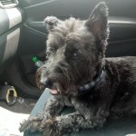 View Gallery Image #6