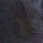 View Gallery Image #4