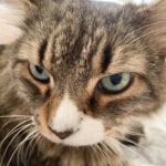 View Gallery Image #12