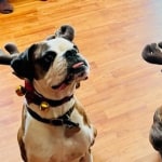 View Gallery Image #13