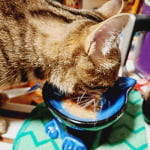 View Gallery Image #3