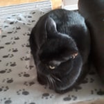 View Gallery Image #2