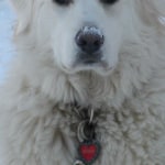 View Gallery Image #3