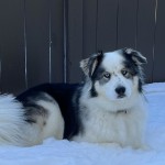 View Gallery Image #3