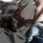 View Gallery Image #3