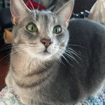 View Gallery Image #12