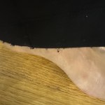 View Gallery Image #3