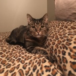 View Gallery Image #2