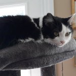 View Gallery Image #14