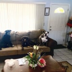 View Gallery Image #5