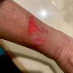 View Gallery Image #4