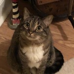 View Gallery Image #5