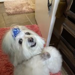 View Gallery Image #5