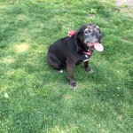 View Gallery Image #10