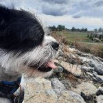 View Gallery Image #7