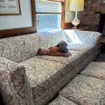 View Gallery Image #4