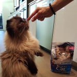 View Gallery Image #9