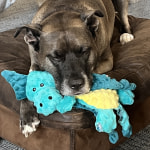 View Gallery Image #5