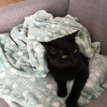 View Gallery Image #7