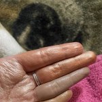 View Gallery Image #3