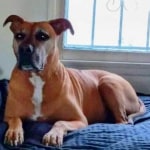 View Gallery Image #2