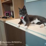 View Gallery Image #9