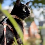 View Gallery Image #4