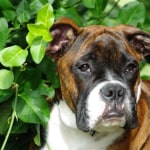 View Gallery Image #13