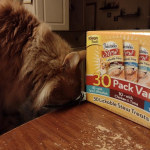 View Gallery Image #10