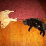 View Gallery Image #13