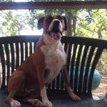 View Gallery Image #8