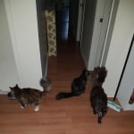 View Gallery Image #15