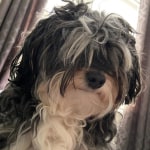 View Gallery Image #2