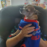 View Gallery Image #1