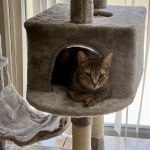 View Gallery Image #14