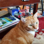 View Gallery Image #8