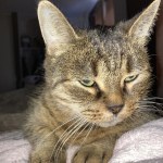 View Gallery Image #2