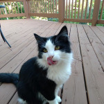 View Gallery Image #3