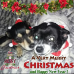 View Gallery Image #4