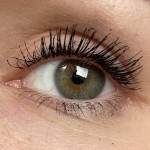 View Gallery Image #7