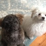 View Gallery Image #12